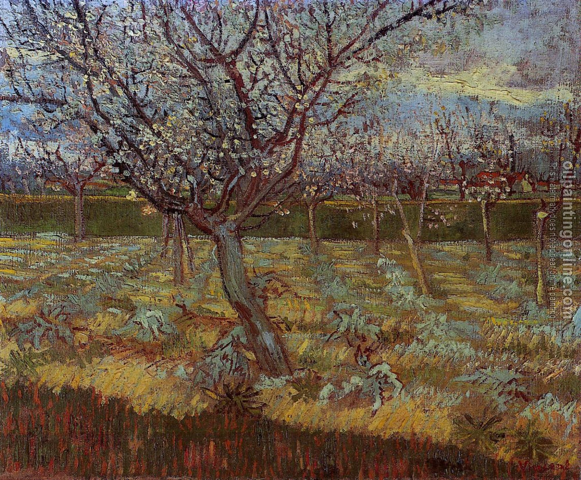 Gogh, Vincent van - Apricot Trees in Bloom